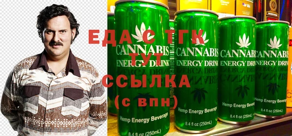 стаф Ельня