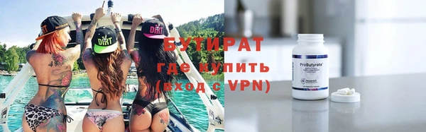 стаф Ельня