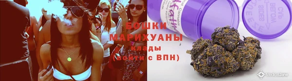 стаф Ельня