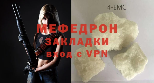 стаф Ельня