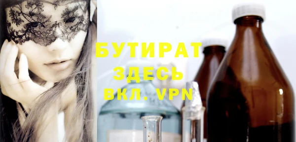 стаф Ельня