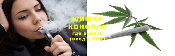 стаф Ельня