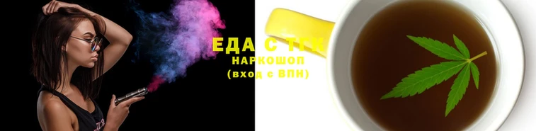 стаф Ельня
