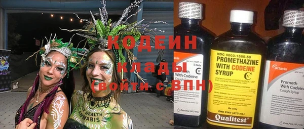 стаф Ельня