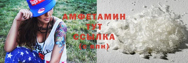 стаф Ельня