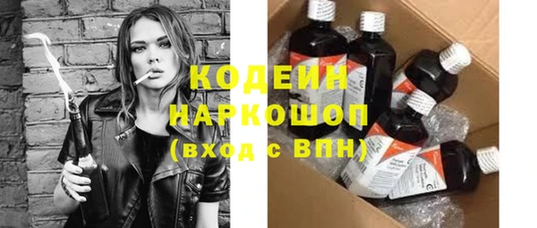 стаф Ельня