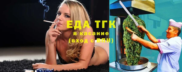 стаф Ельня