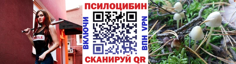 даркнет сайт  МЕГА вход  Галлюциногенные грибы Magic Shrooms  Находка 
